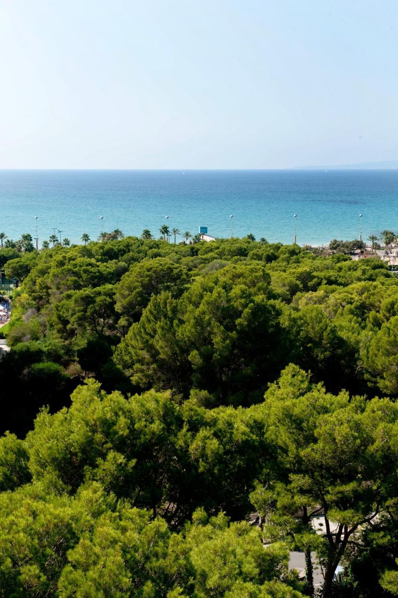 פלאייה דה פאלמה Grupotel Taurus Park מראה חיצוני תמונה